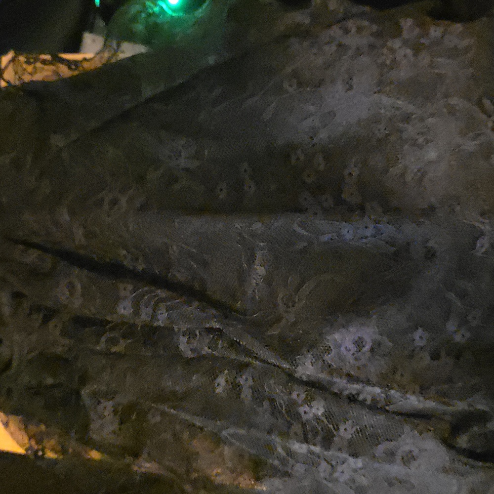 Lace tiered  bell sleeve  top